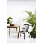 LOOP LOUNGE CHAIR LOOP LOUNGE CHAIR Scandinavian Chair