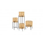 Vivi Plant Stands - Plant Stands Vivi Plant Stands - Plant Stands
